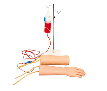 手部、肘部組合式靜脈（血）訓(xùn)練模型